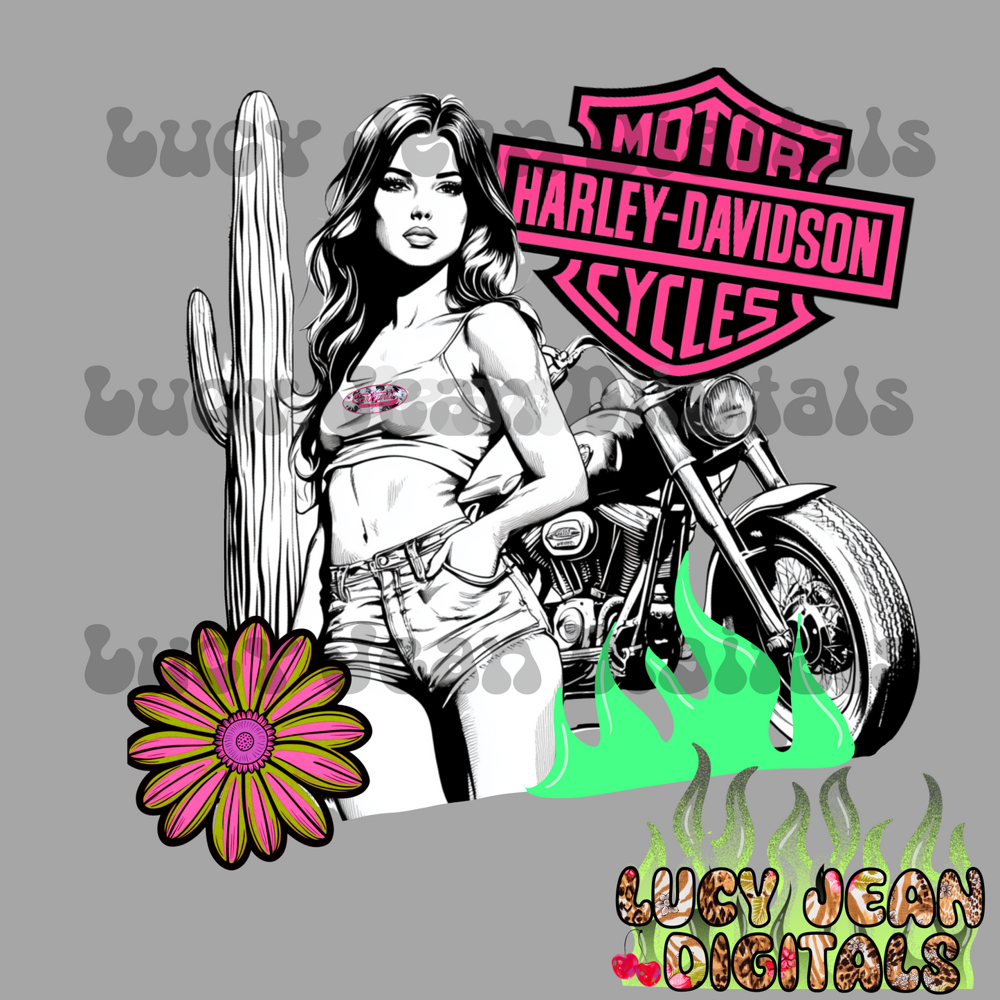 HD motorcycle babe PNG