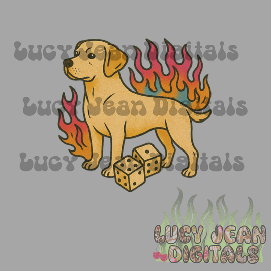 Yellow Lab PNG