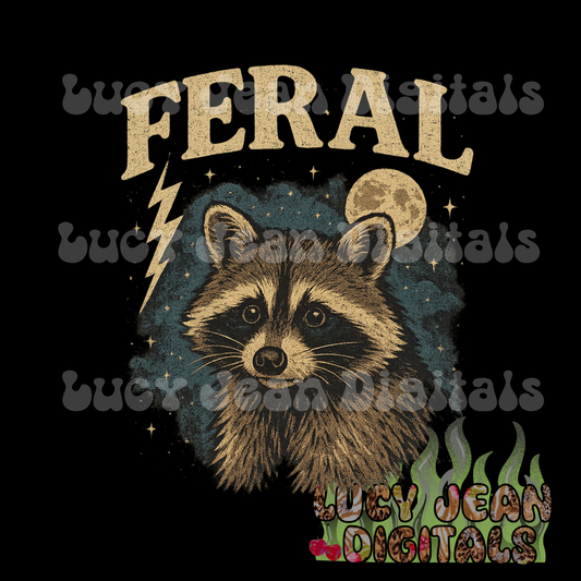 Vintage Feral Raccoon PNG