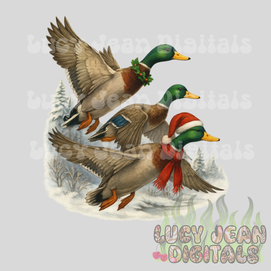 Christmas Mallard PNG